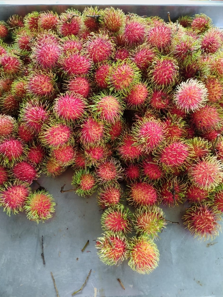 Rambutan