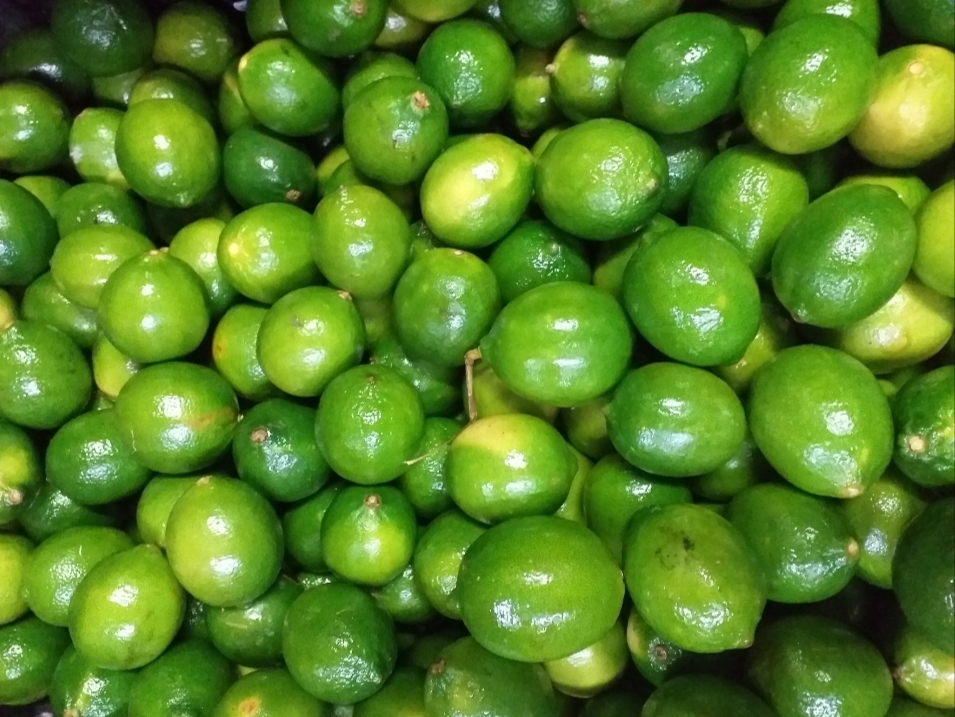 Limon tahiti