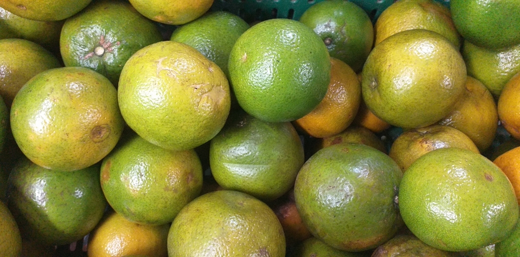 Naranja valencia