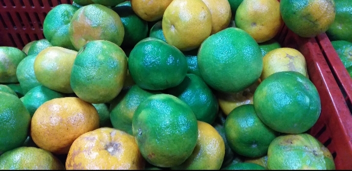 Mandarina oneca