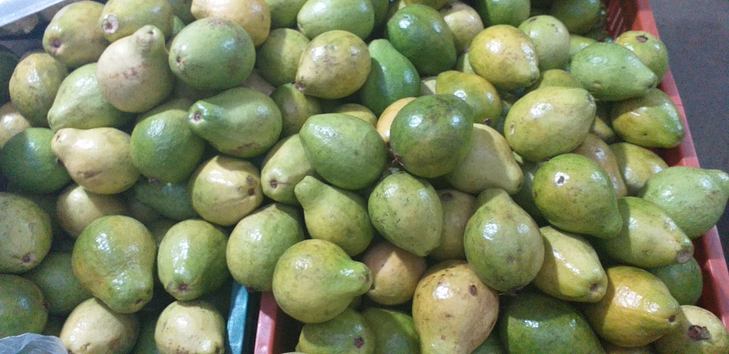 Guayaba pera