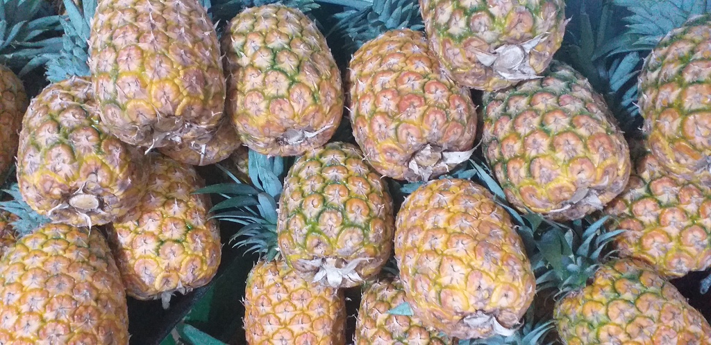 Piña oromiel