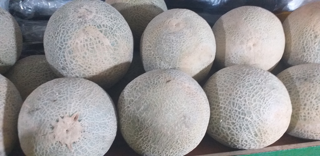 Melon
