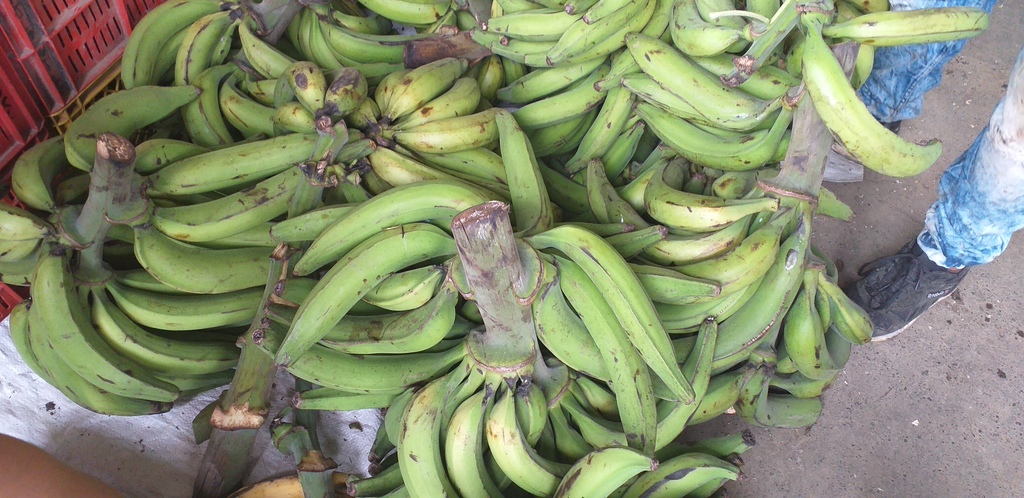 Platano verde