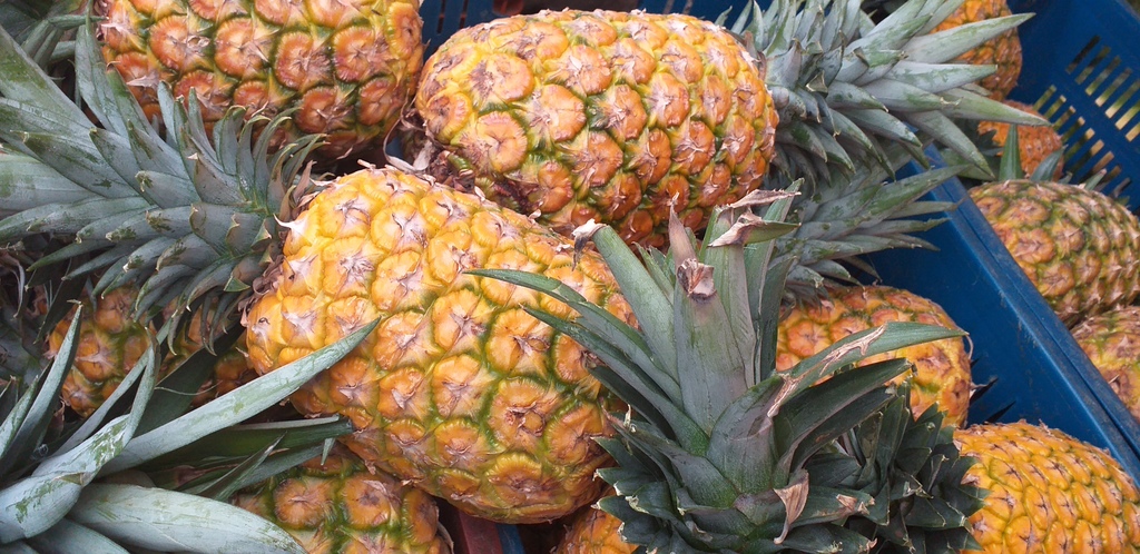 Piña oromiel