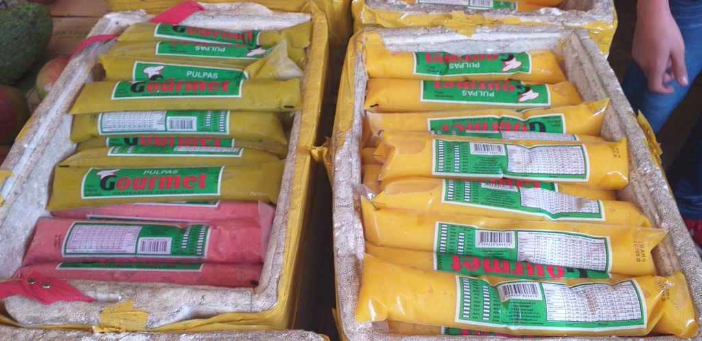 Pulpa de frutas surtidas *500gm