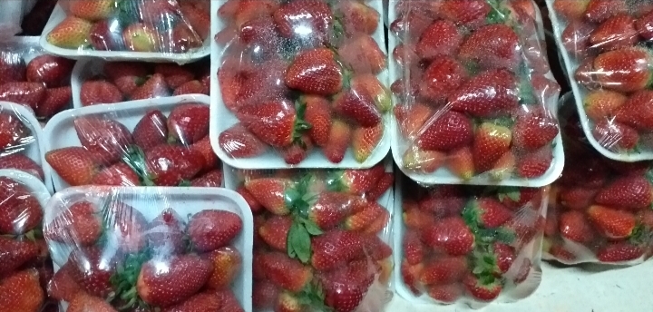 Fresa en bandeja
