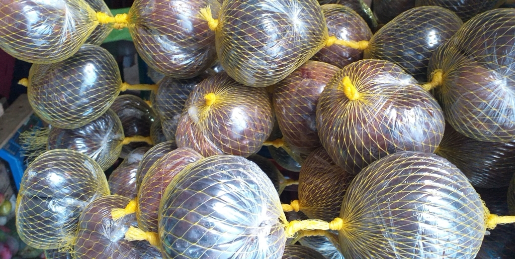 Borojo en malla
