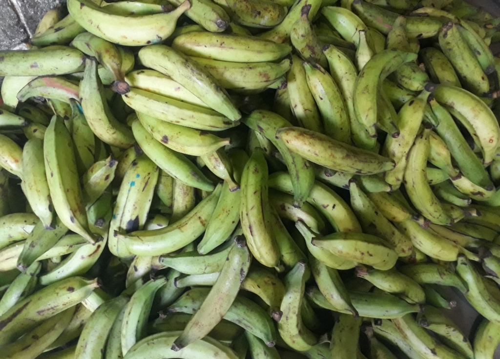 Platano verde de 1ra