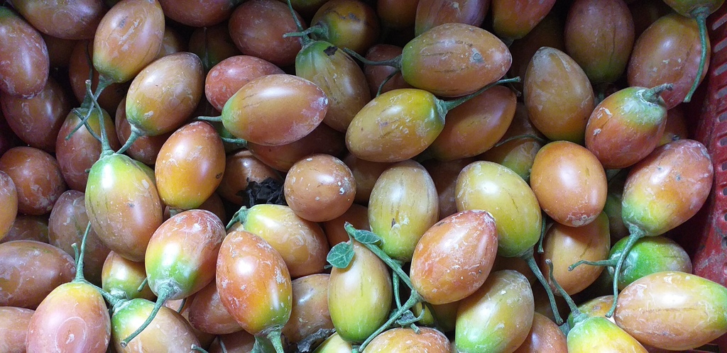 Tomate de arbol