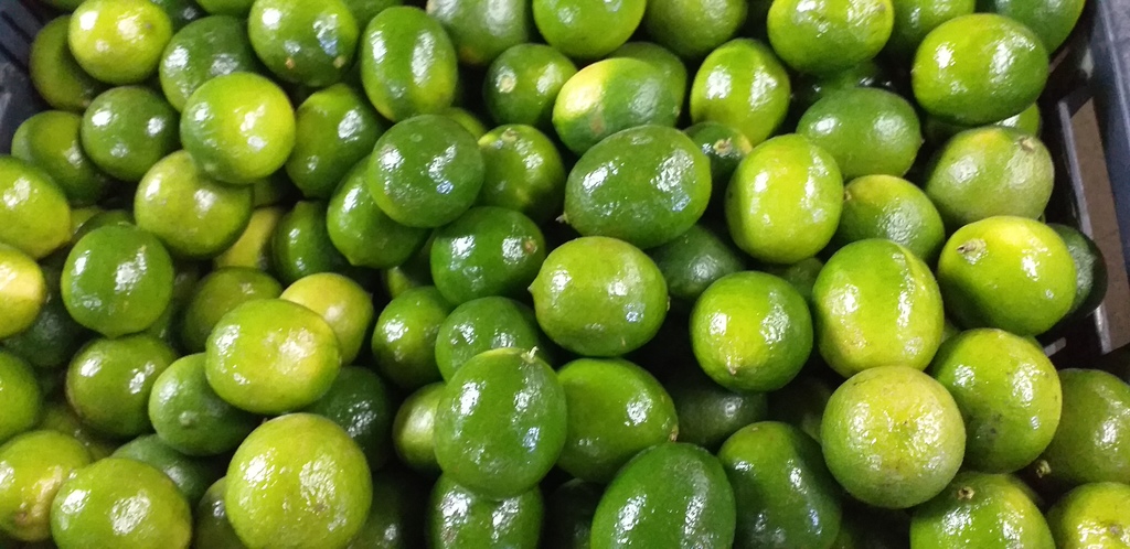 Limon tahiti