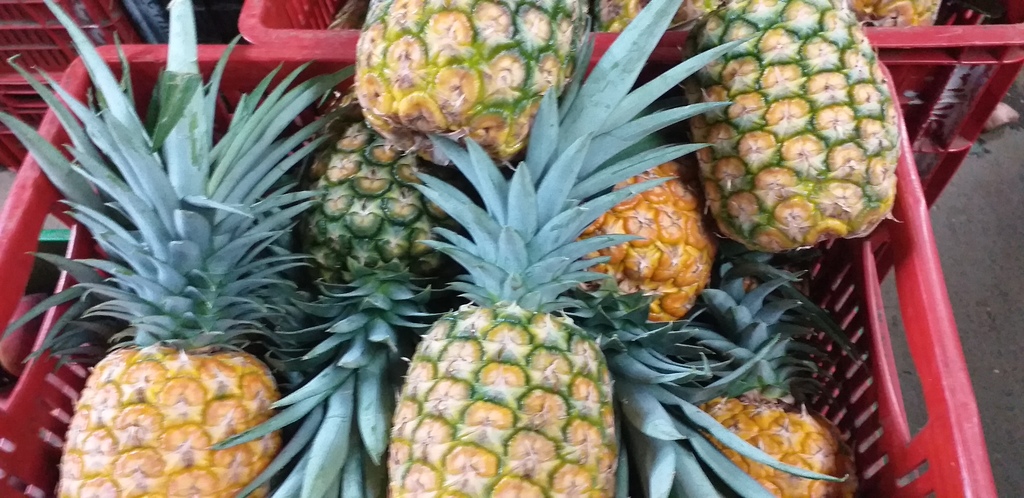 Piña oromiel