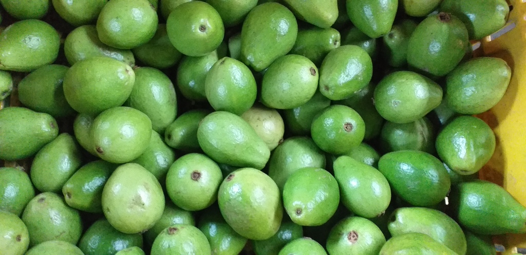 Guayaba pera