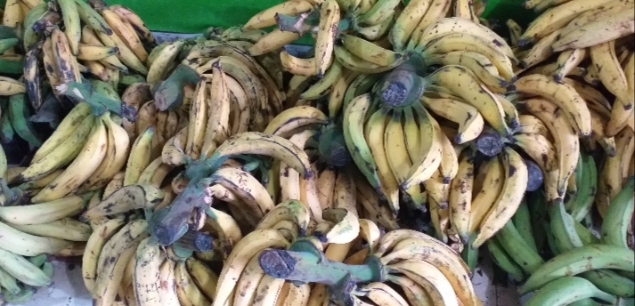 Platano maduro