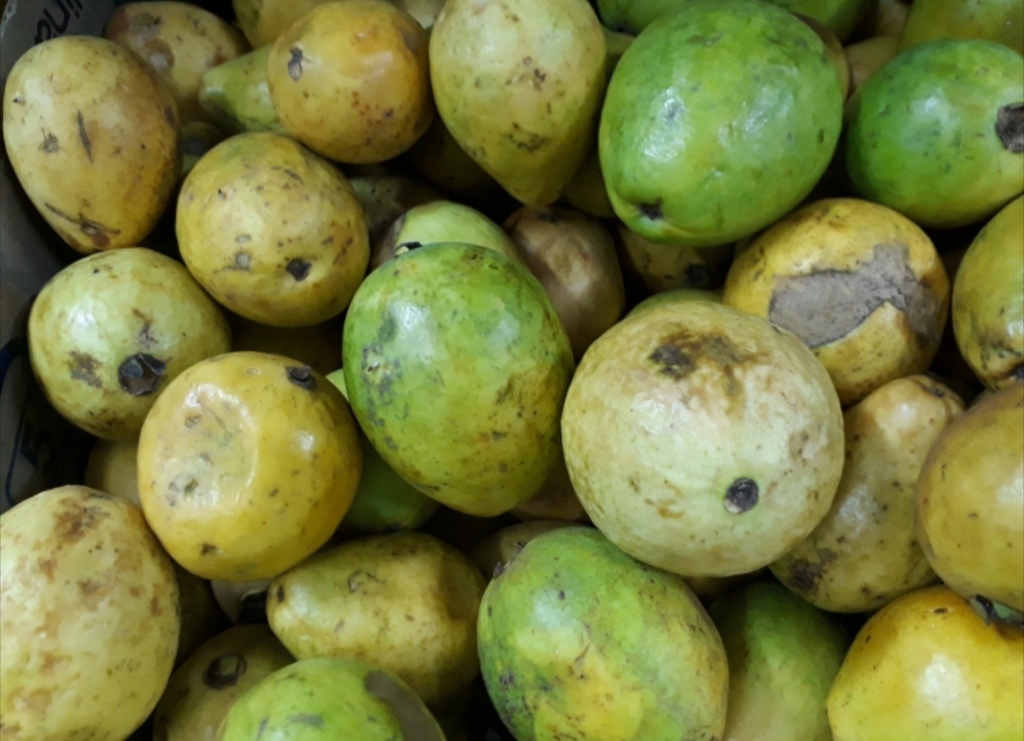 Guayaba dulce