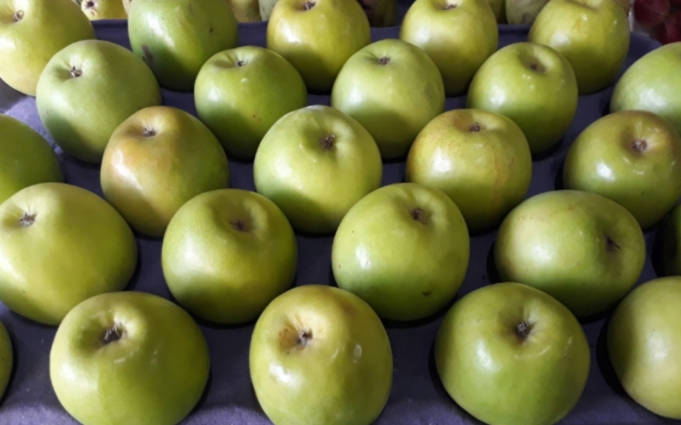 Manzana verde