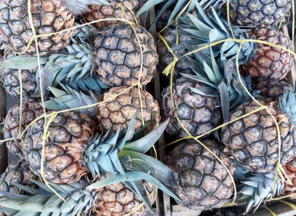 Piña pareja