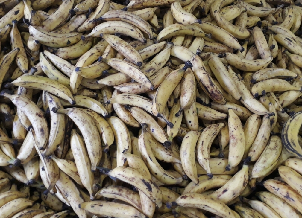 Platano amarillo de 1ra