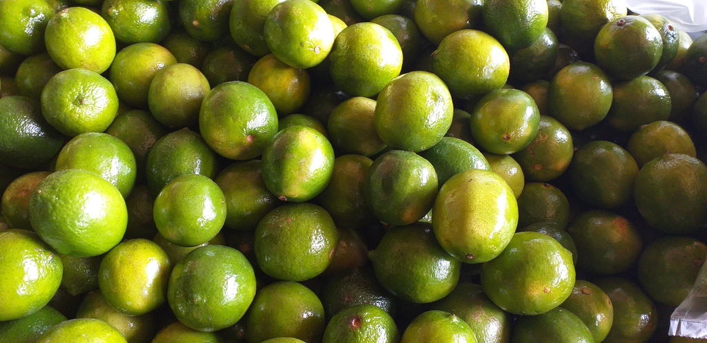 Limon