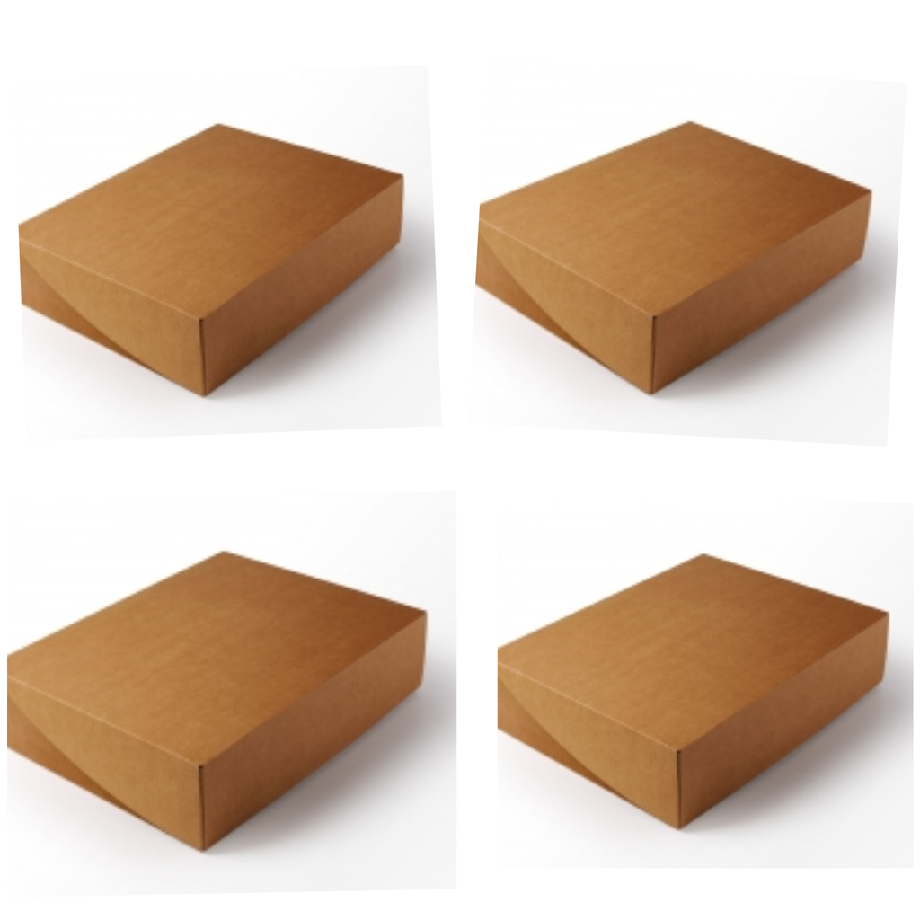 Caja para zapatos en micro corrugado 32x21x11