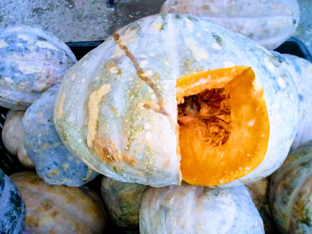 Ahuyama