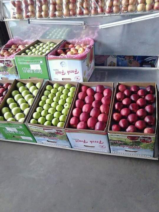 Manzana royal x 150 unidades