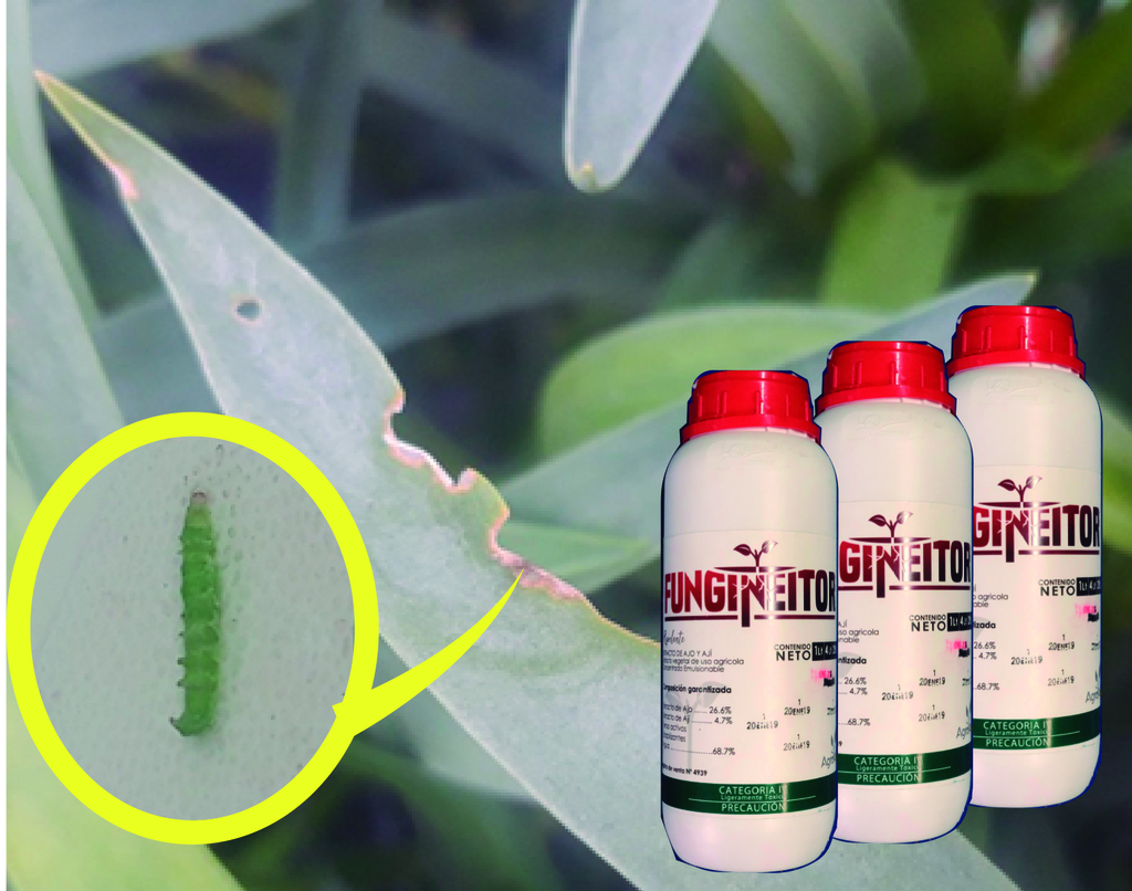 REPELENTE (AJO-AJÍ) Fungineitor X 1lt    (Precio especial)