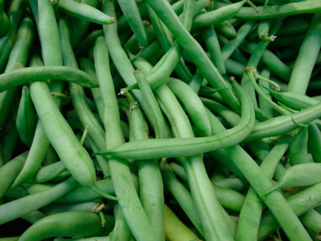 Habichuela