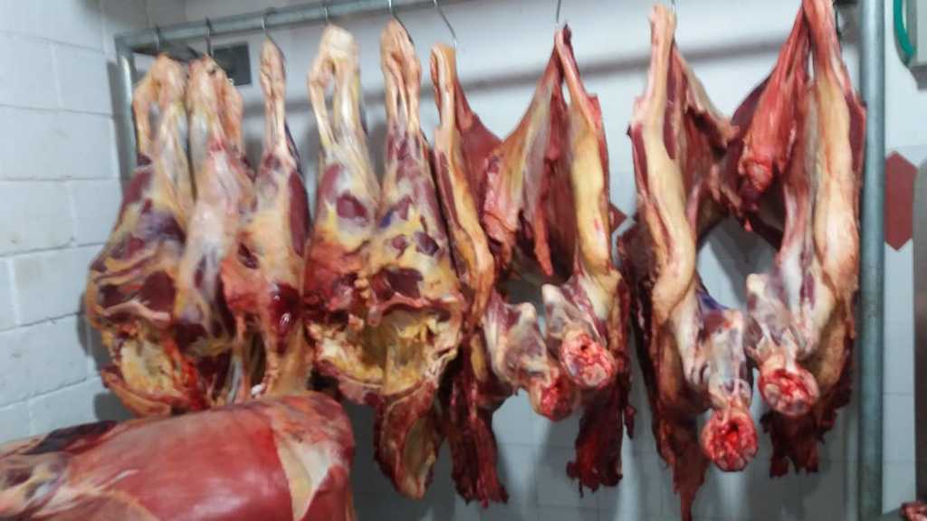 Carne de 1ra de res