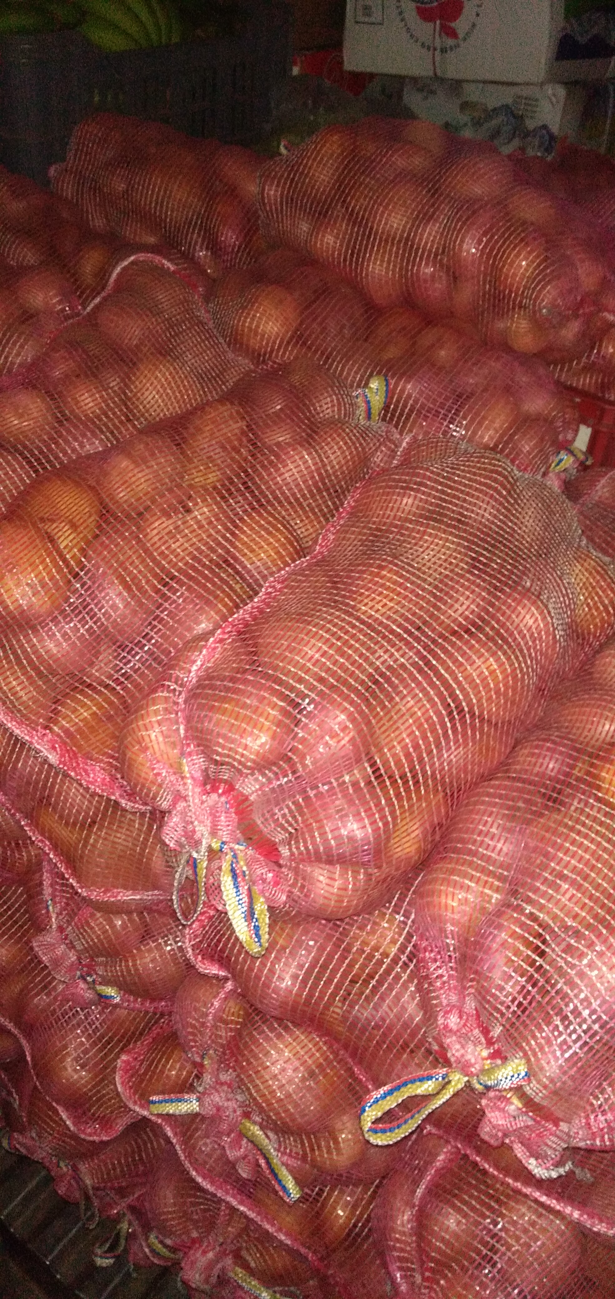 Papa Tula x 5 kg