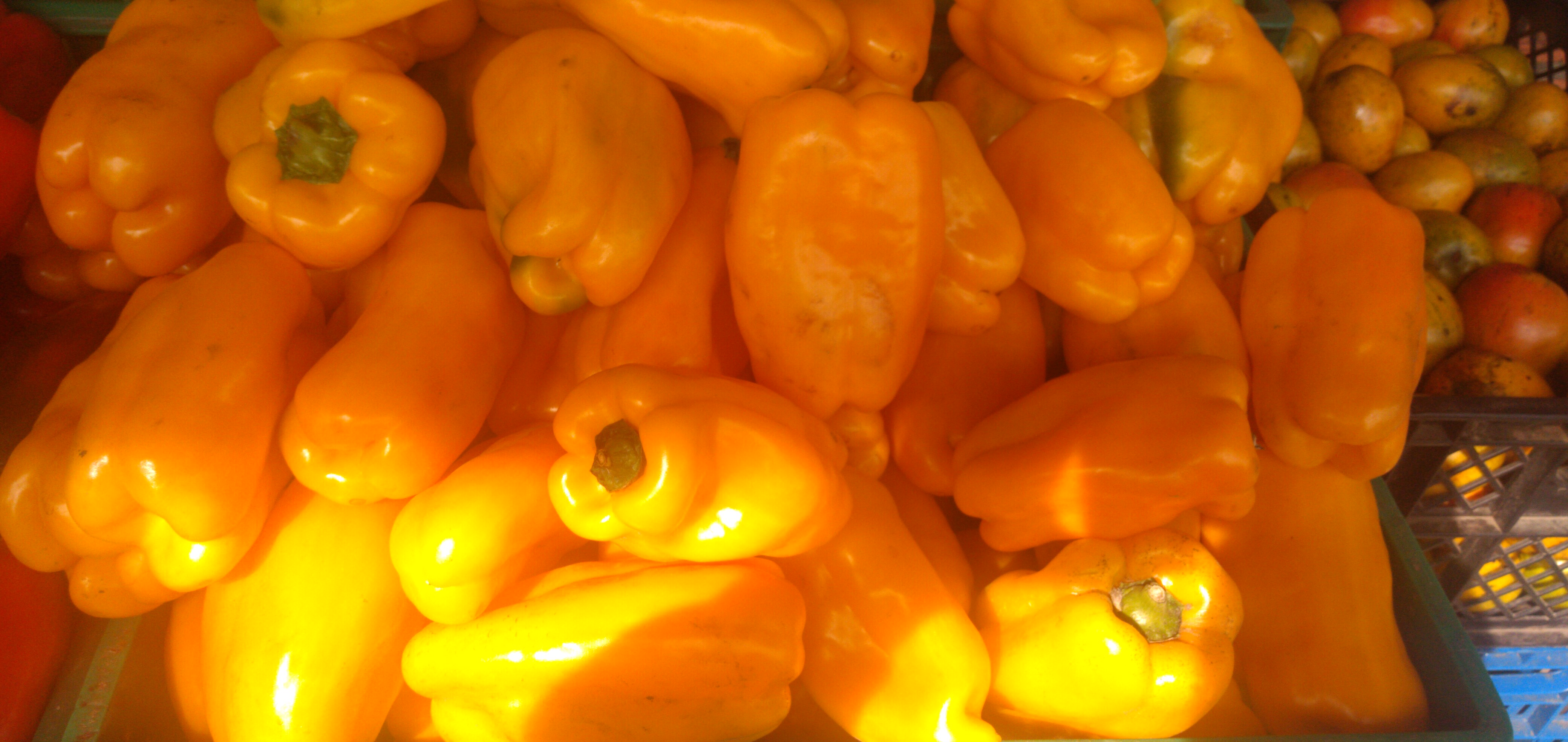 Pimentón amarillo