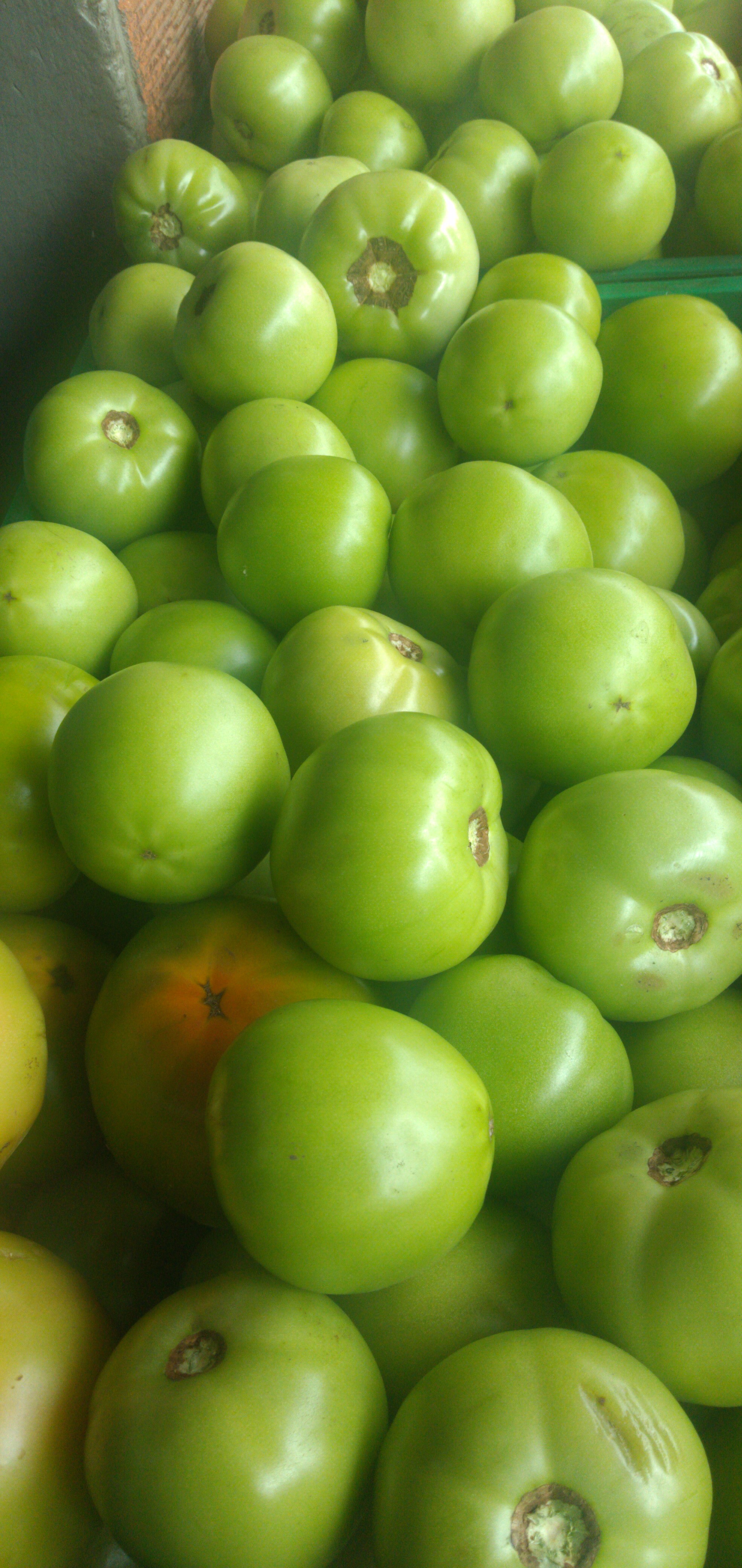 Tomate riñón