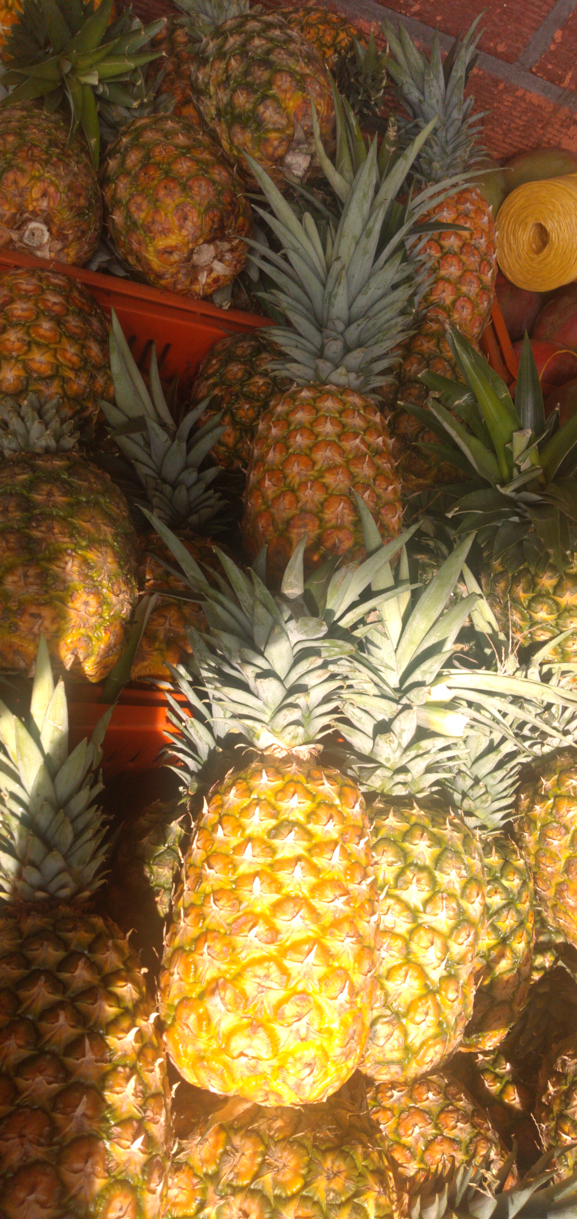 Piña oromiel