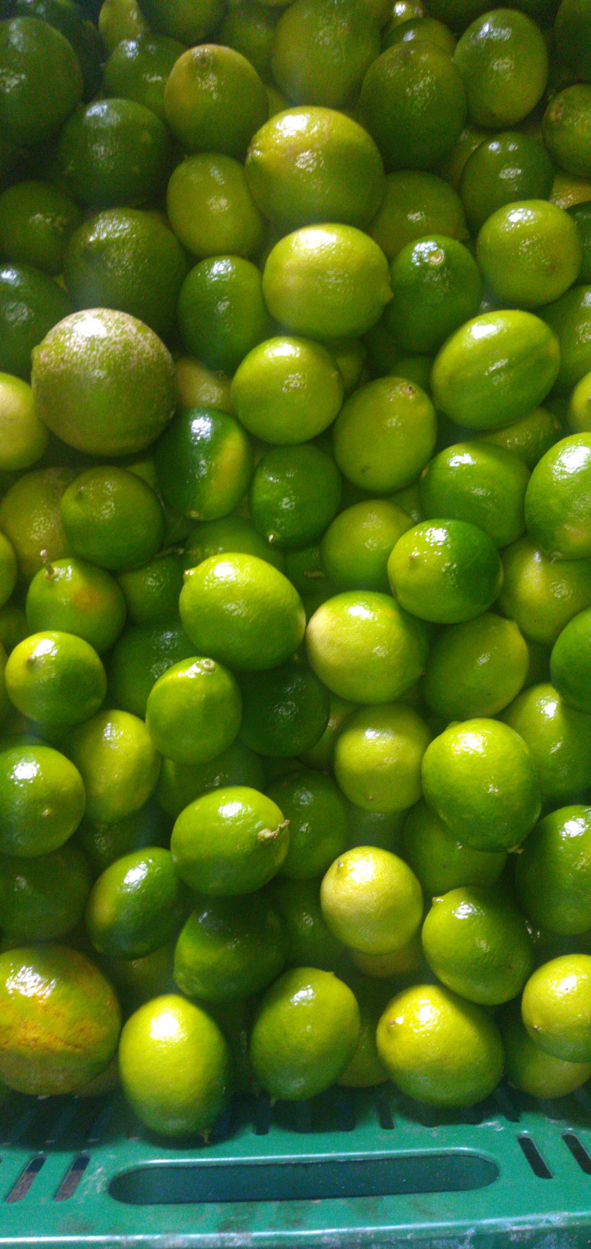 Limón Tahití