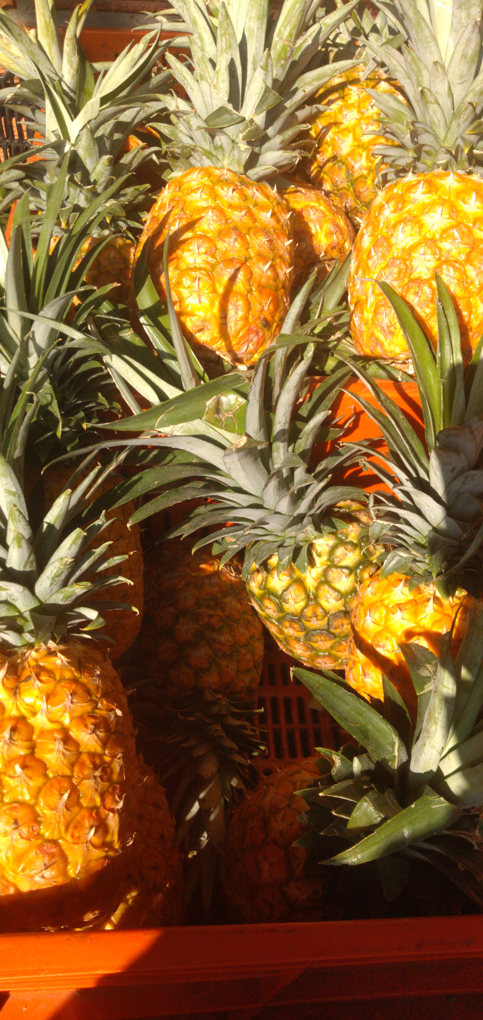 Piña oromiel