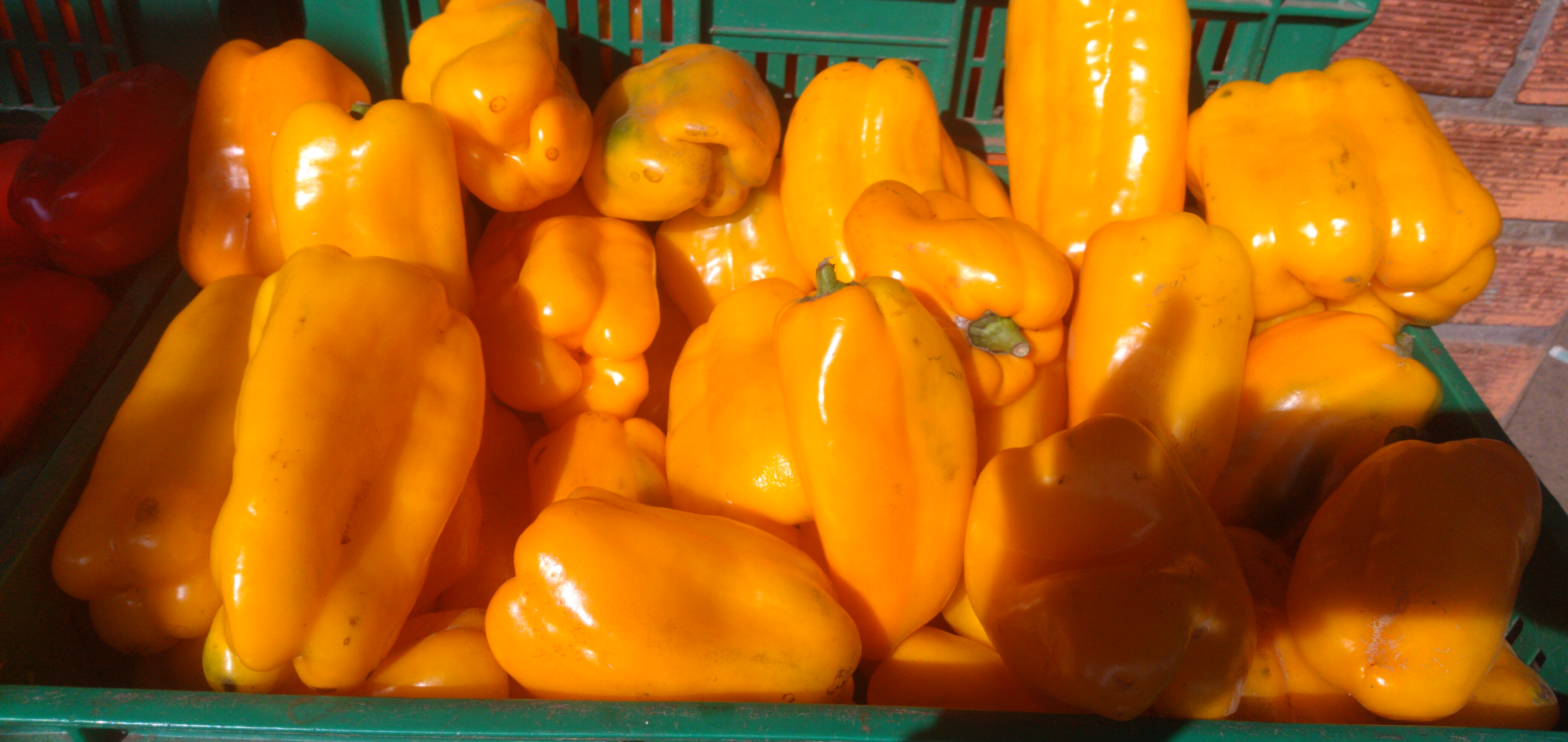 Pimenton amarillo