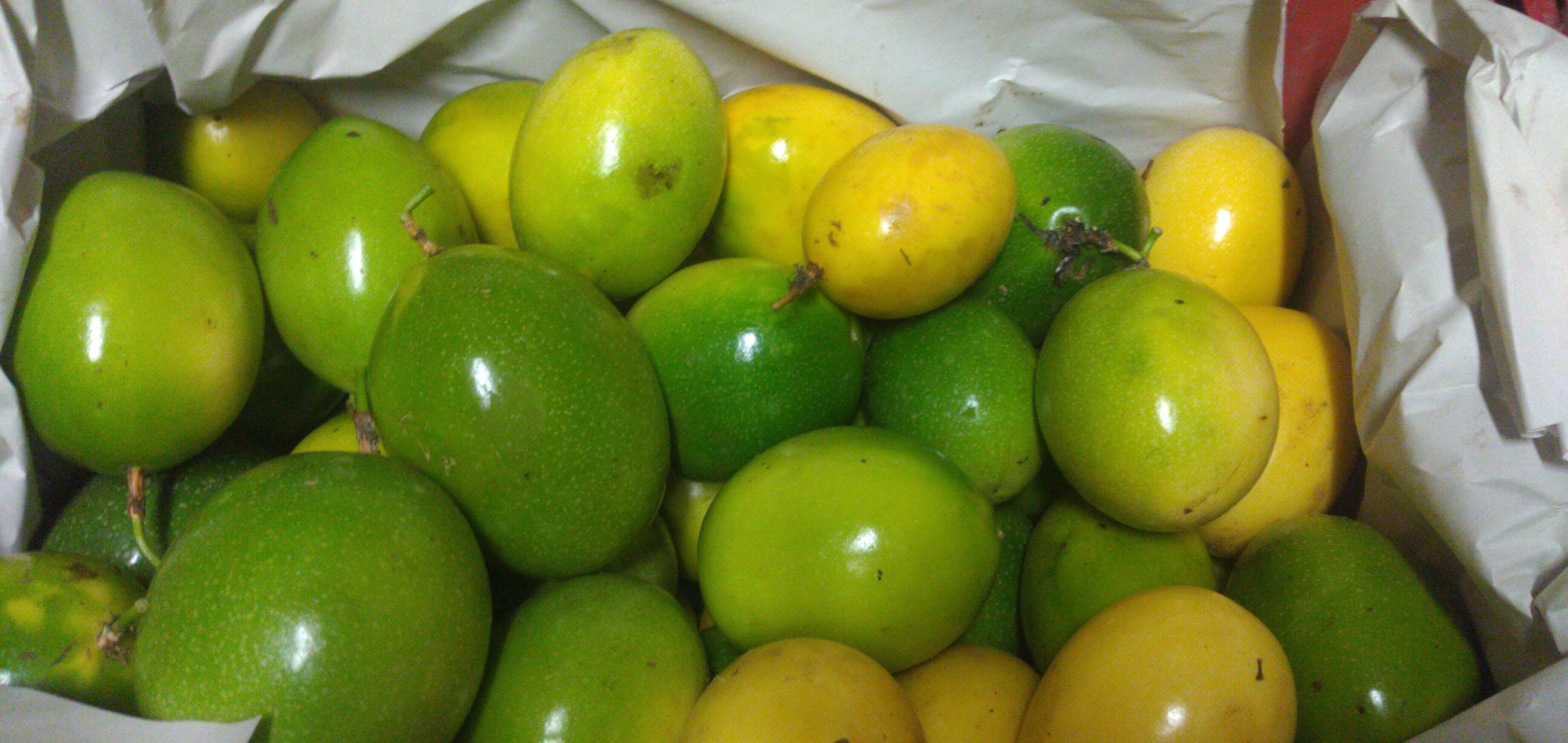 Maracuyá valluna