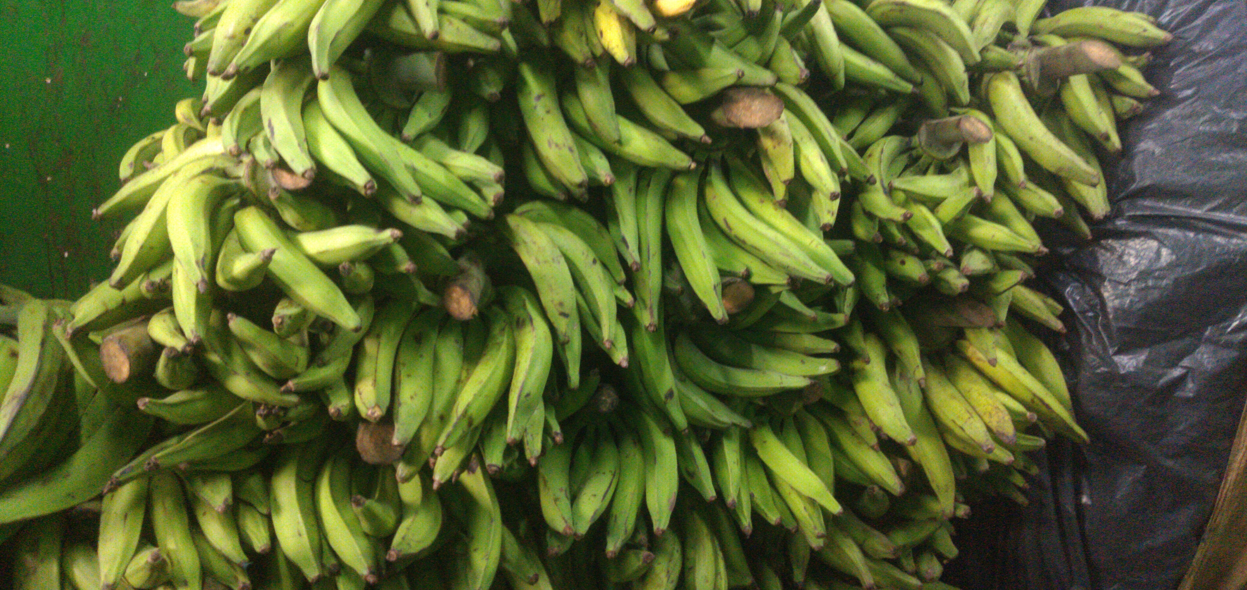 Plátano verde