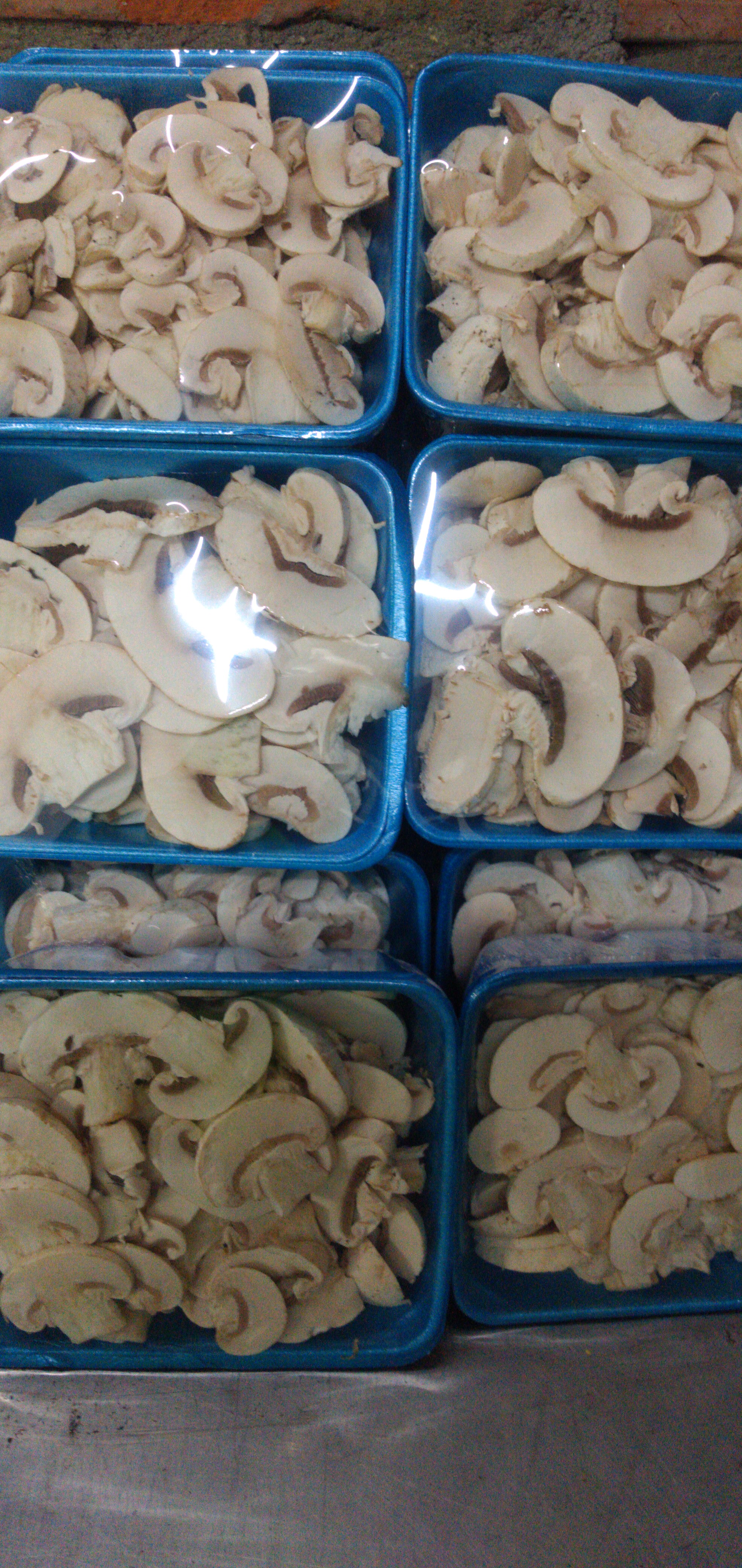 Champiñon x 200 gm