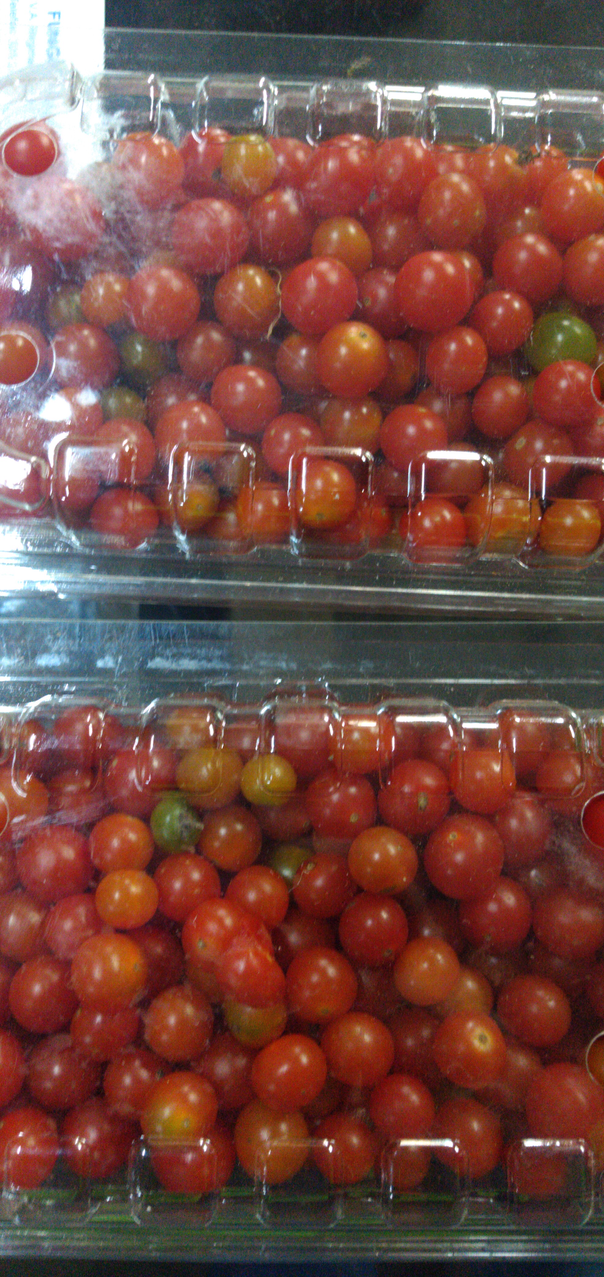 Tomate perla