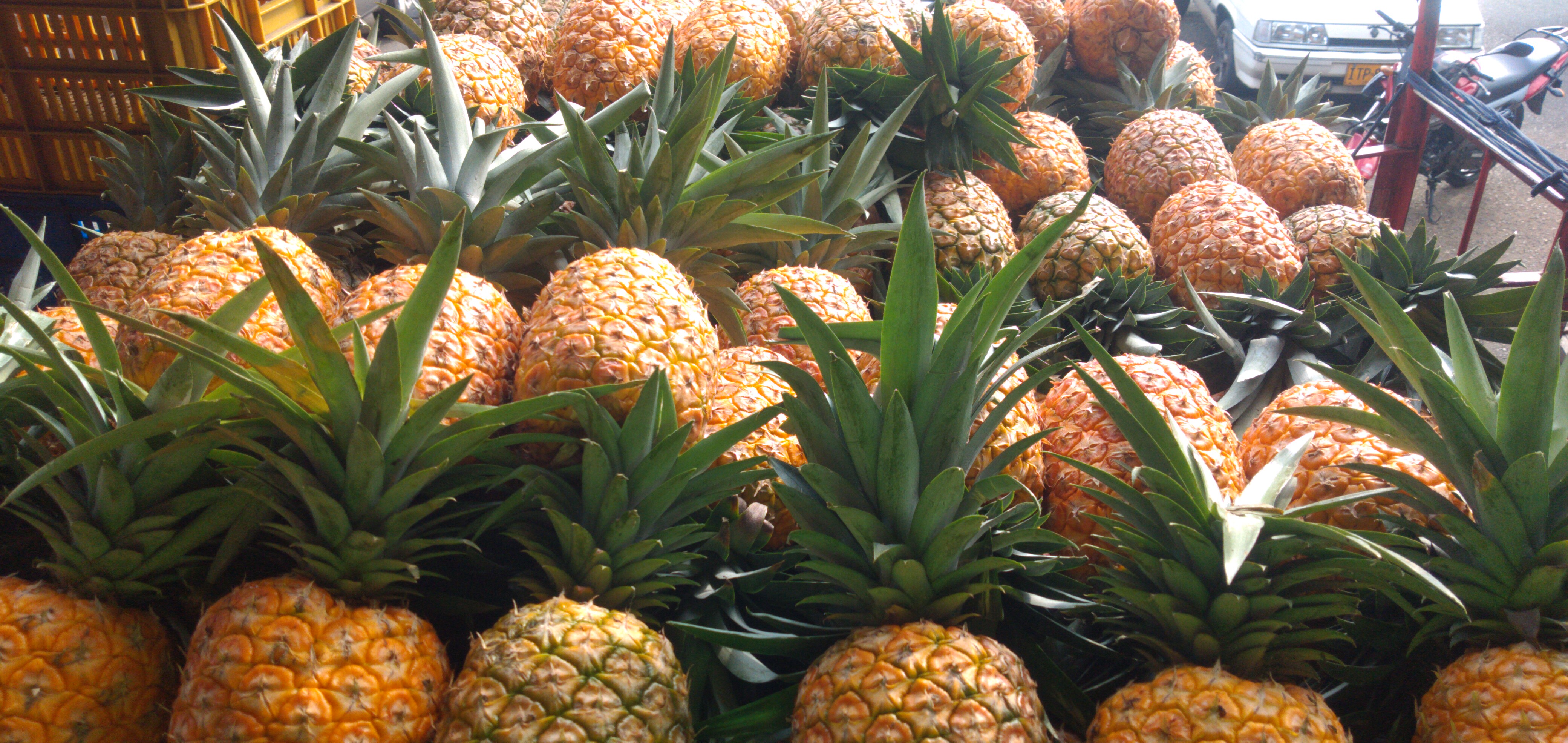 Piña oromiel