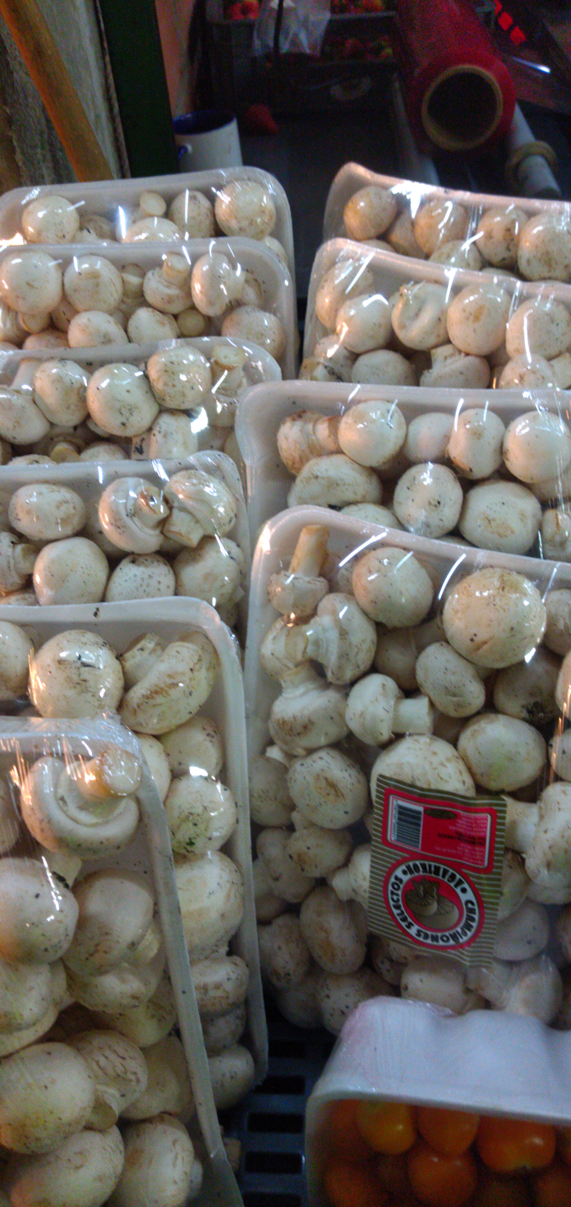 Champiñon x kilo