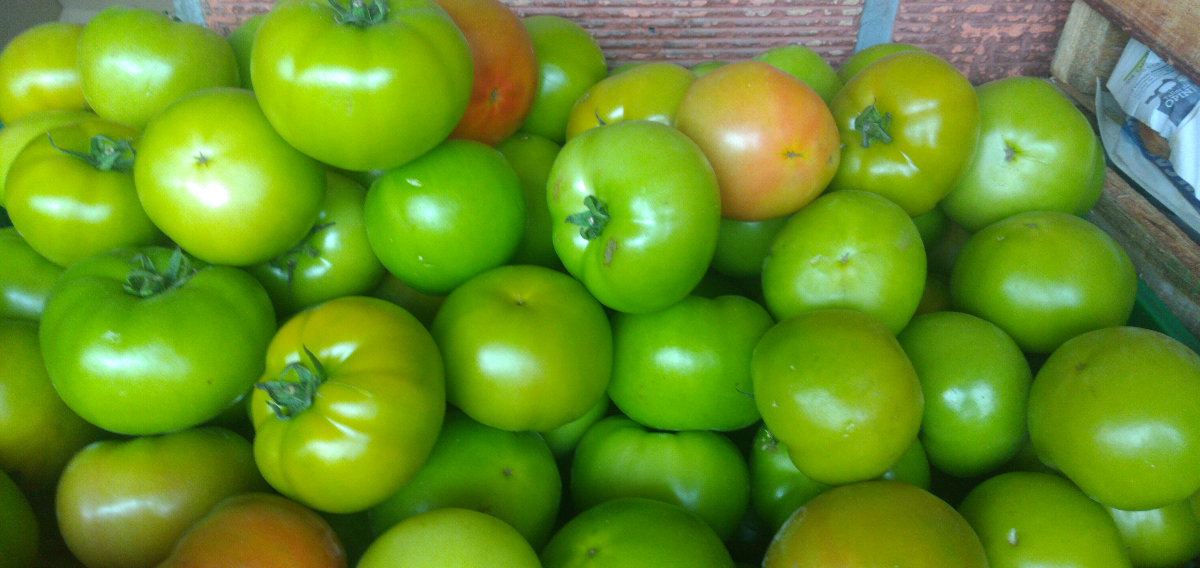 Tomate riñón