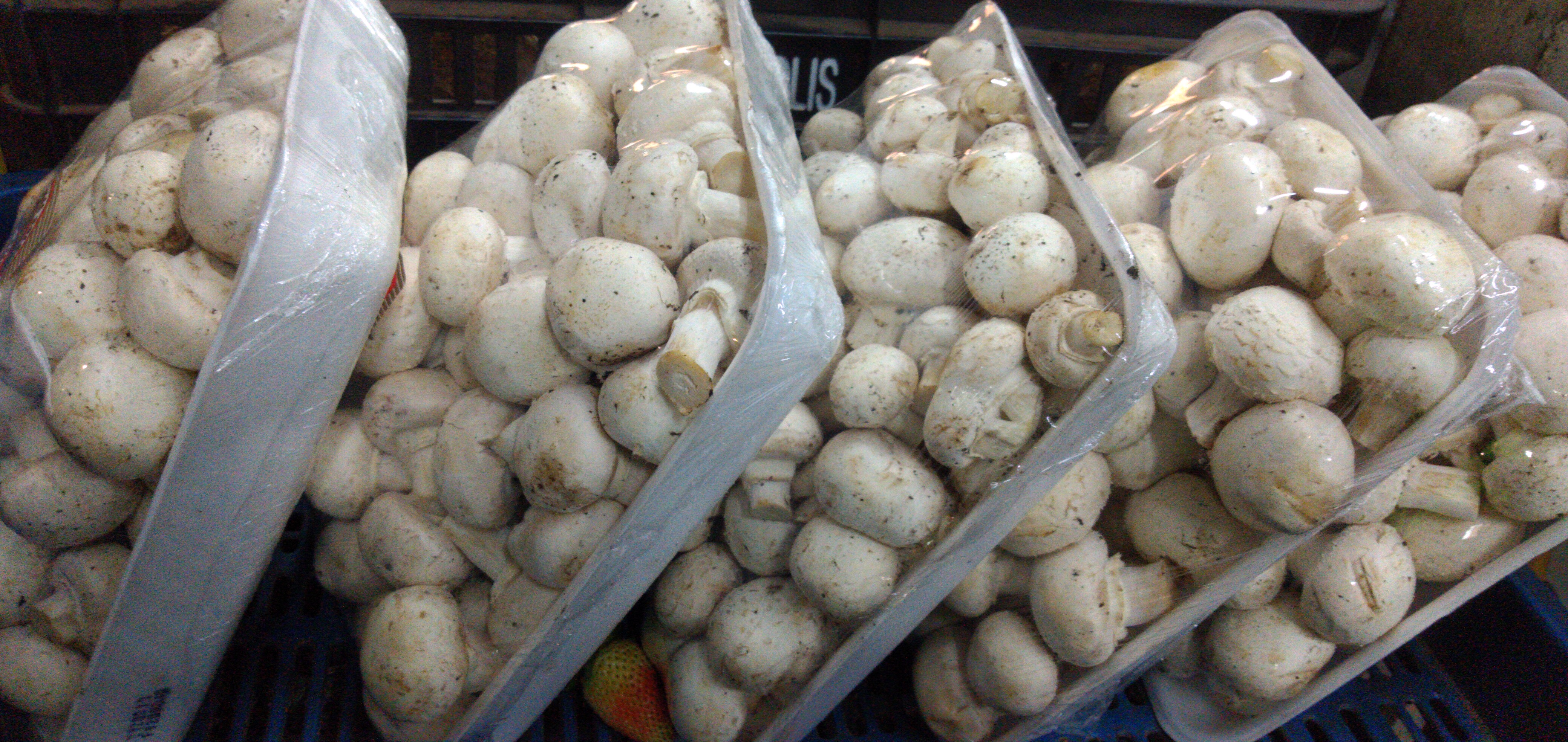 Champiñon x kilo