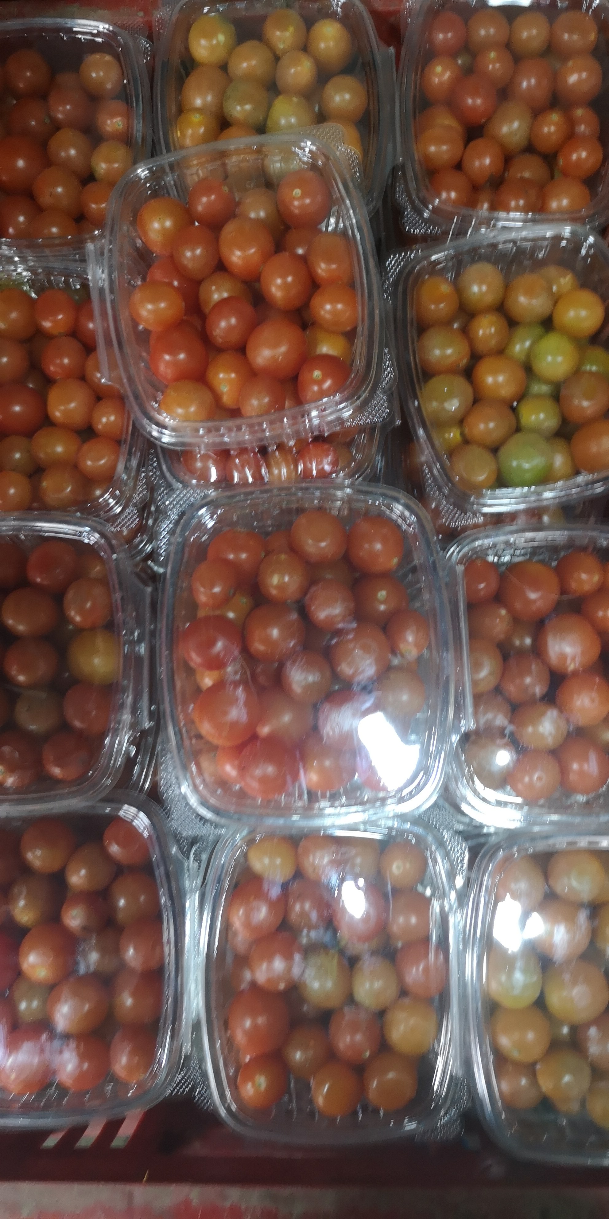 Tomate Cherry