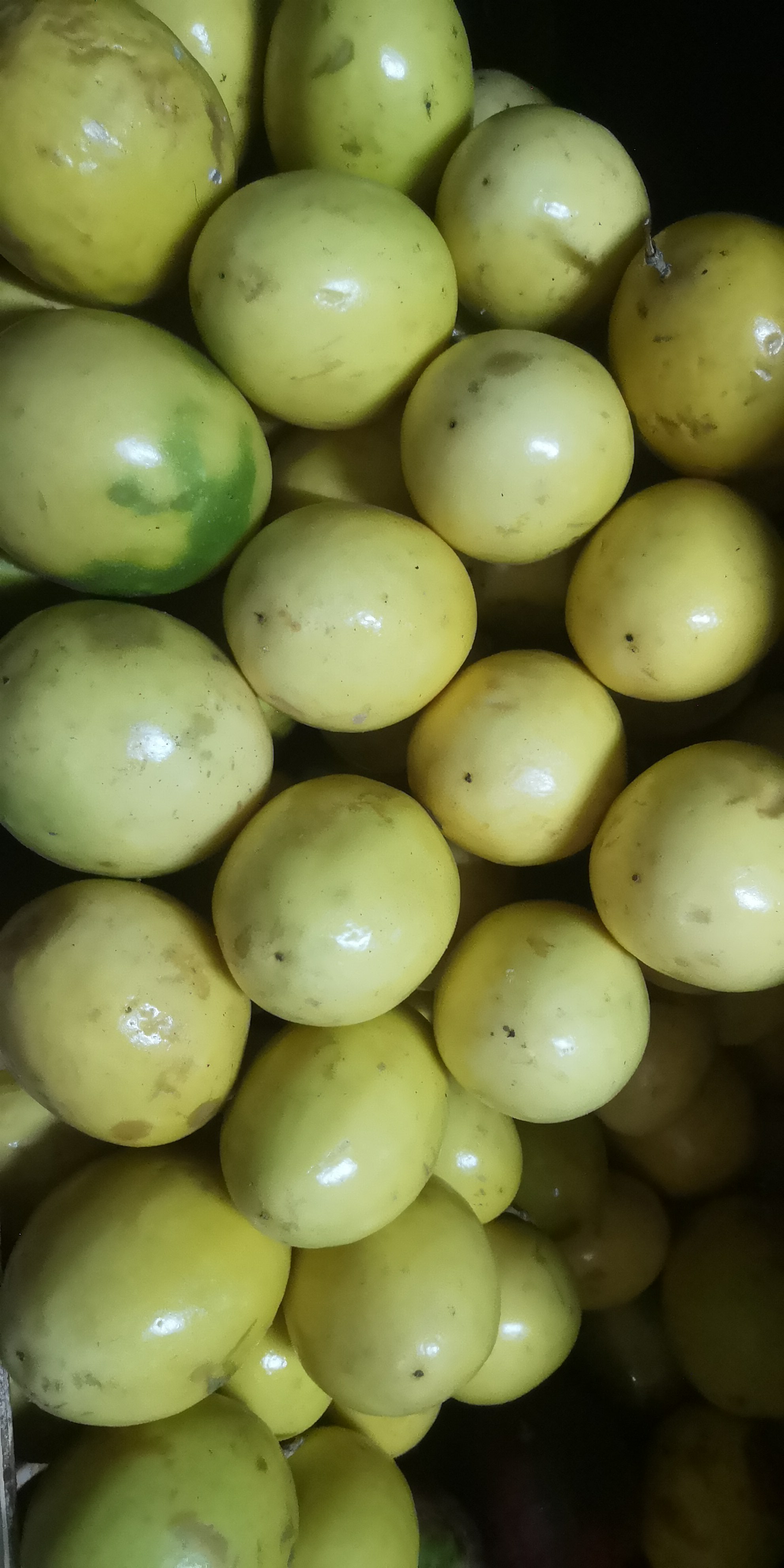 Maracuya