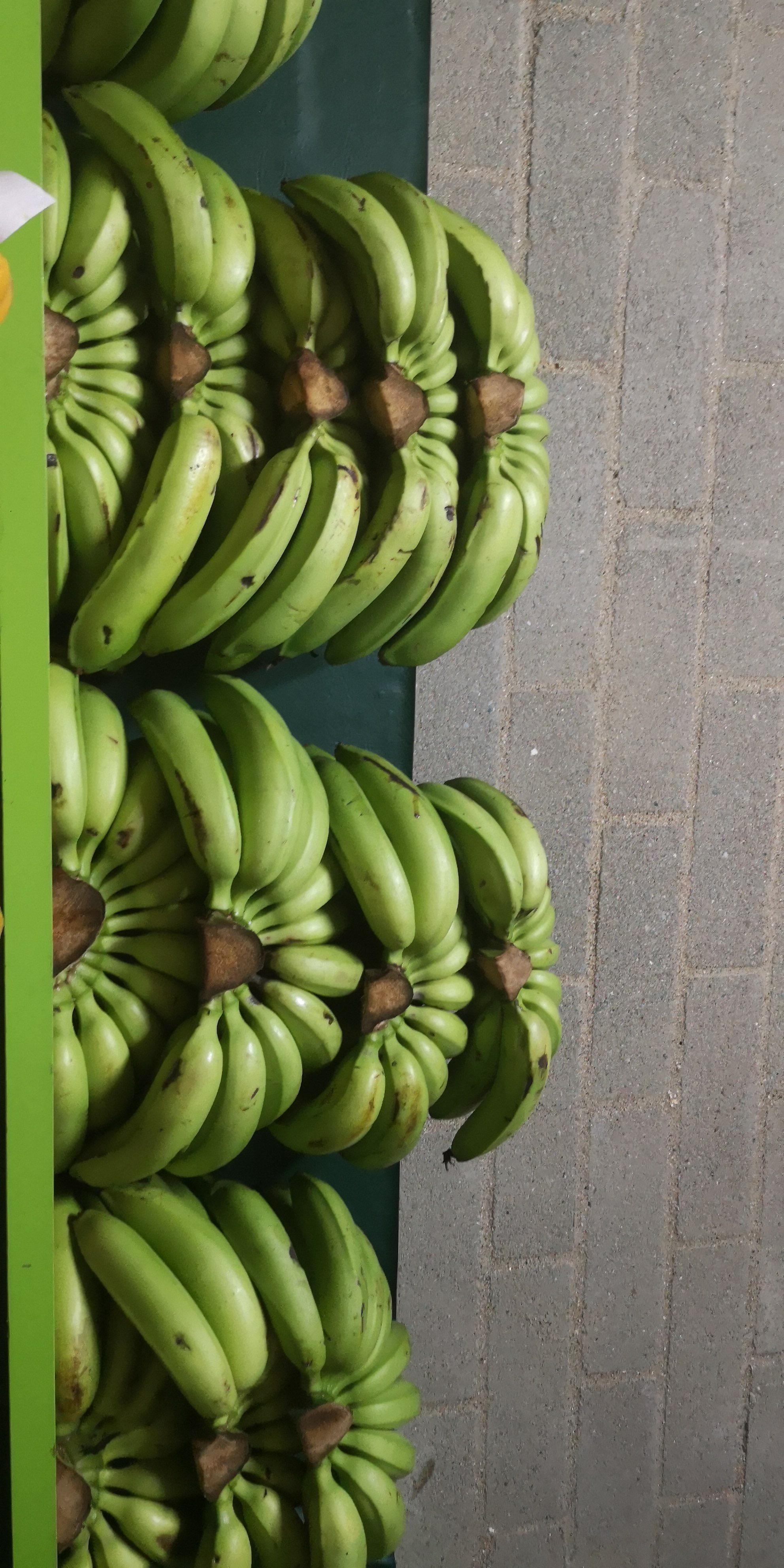 Platano Verde