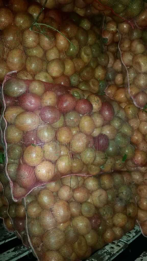 Maracuya corriente