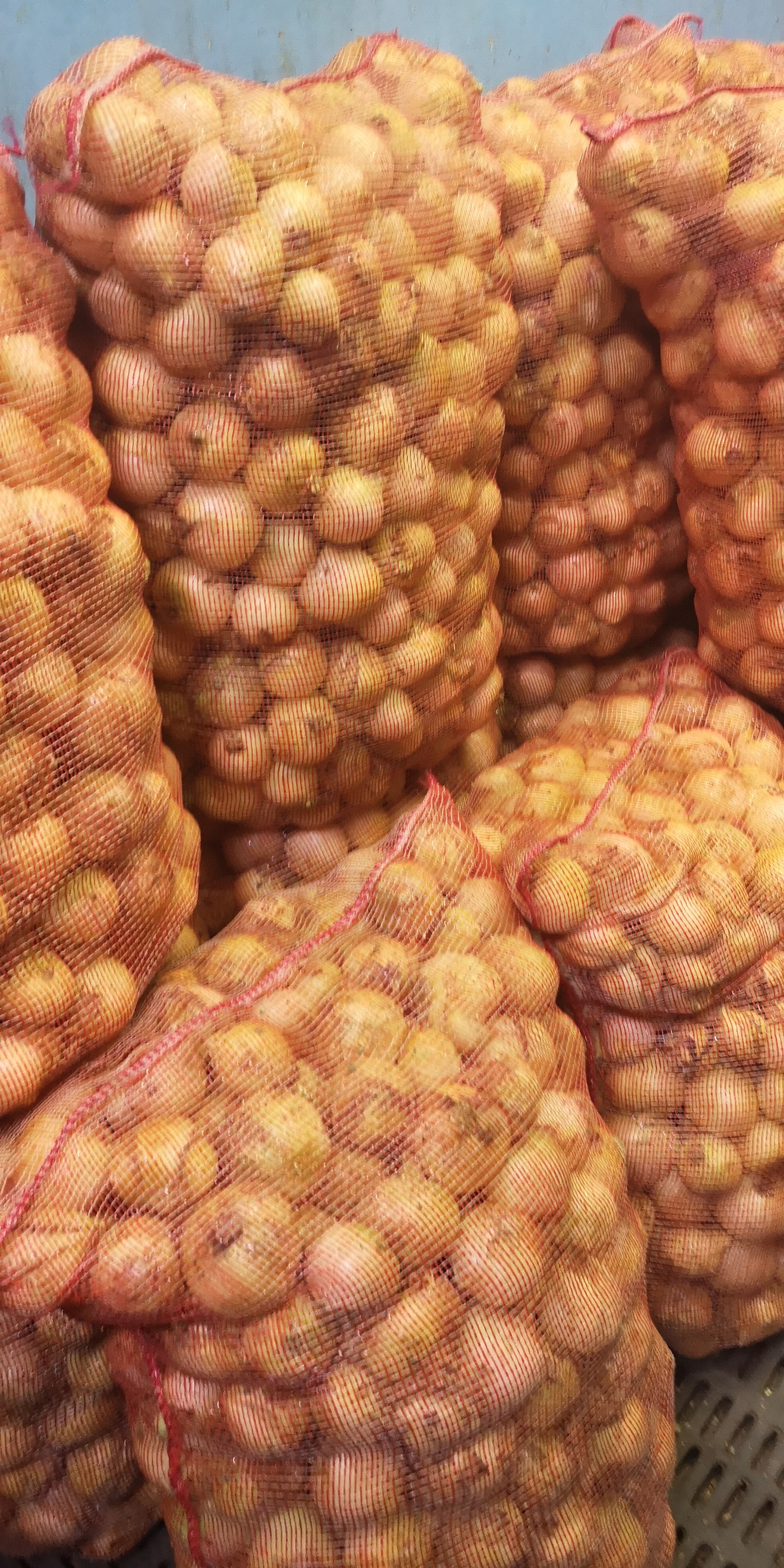 Cebolla de Huevo *48 kg