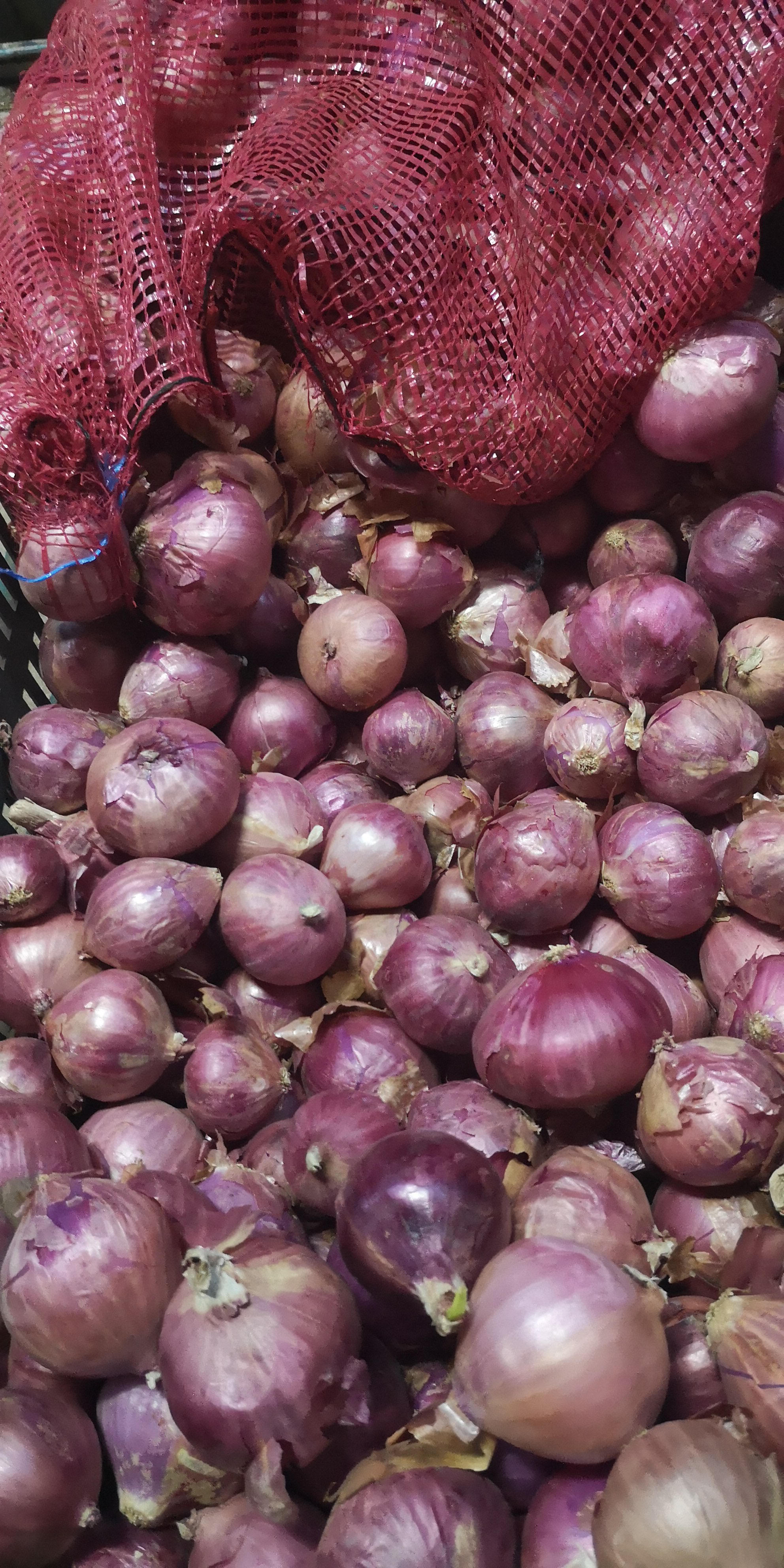Cebolla de Huevo peruana *45kg